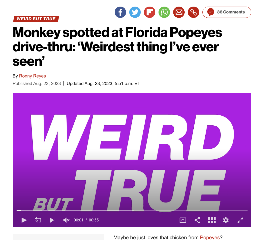 poster - Weird But True f Monkey spotted at Florida Popeyes drivethru 'Weirdest thing I've ever seen' By Ronny Reyes Published Aug. 23, 2023 | Updated Aug. 23, 2023, p.m. Et 36 Weird But True 10 Maybe he just loves that chicken from Popeyes?